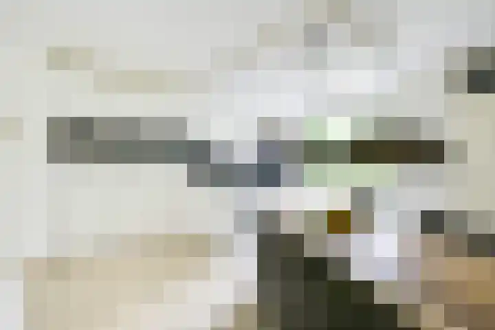 Rondasburg 5 Nieuwegein thumbnail 12