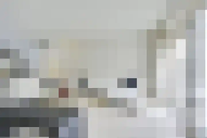 Rondasburg 5 Nieuwegein thumbnail 25