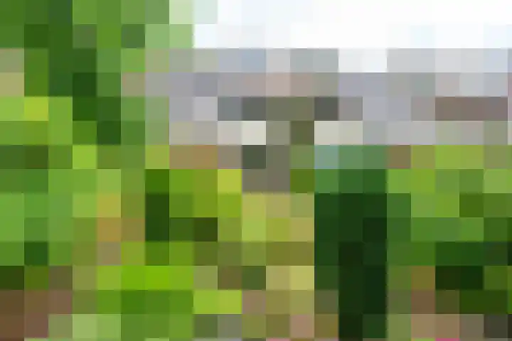Rondasburg 5 Nieuwegein thumbnail 63