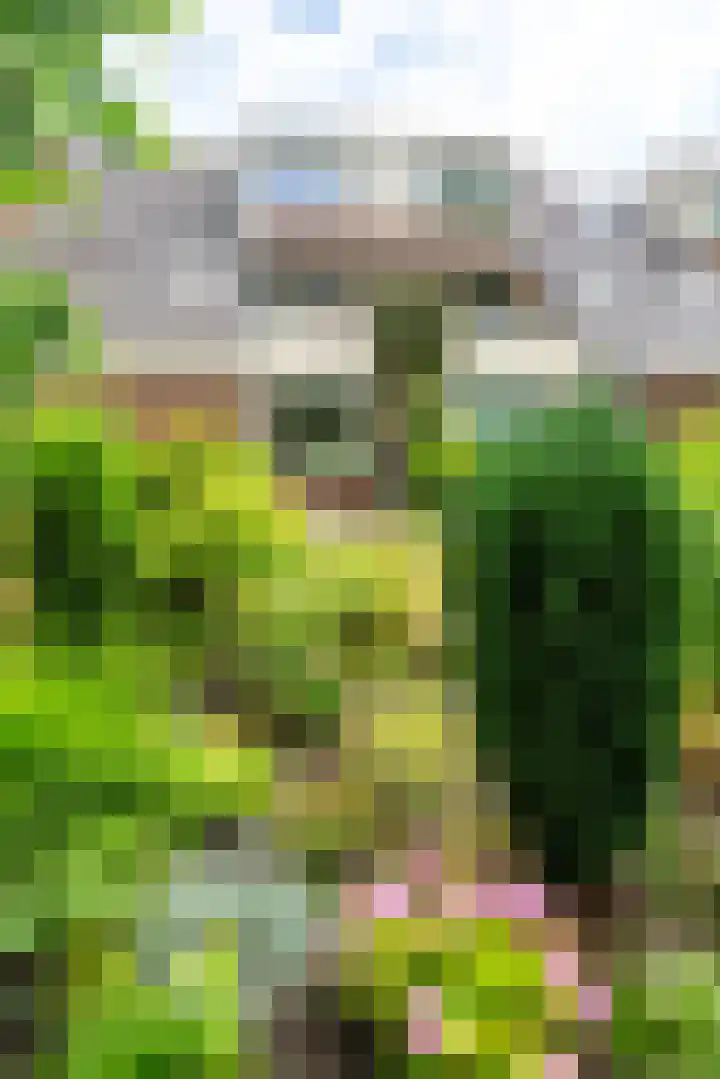 Rondasburg 5 Nieuwegein thumbnail 64