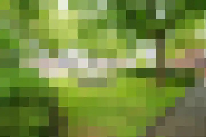 Rondasburg 5 Nieuwegein thumbnail 67