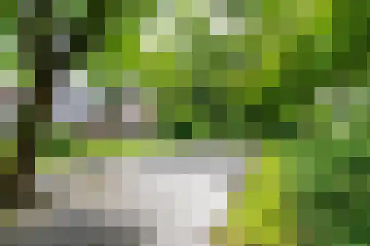 Rondasburg 5 Nieuwegein thumbnail 68