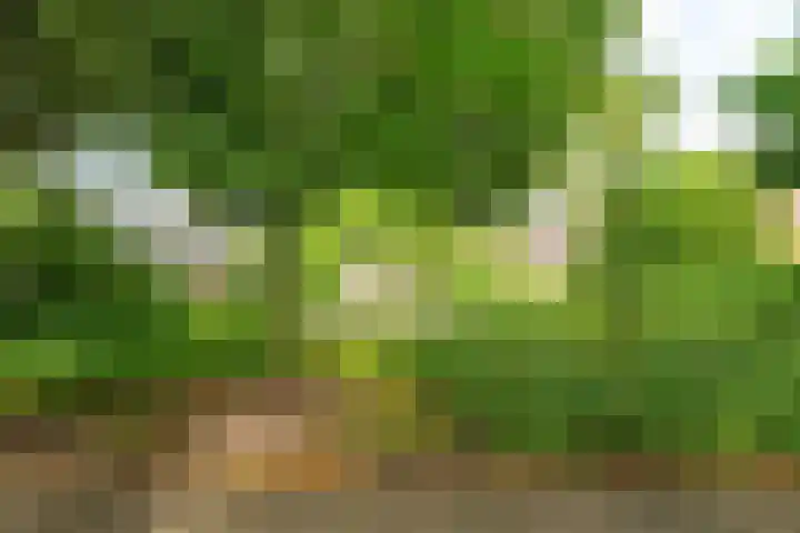 Rondasburg 5 Nieuwegein thumbnail 71