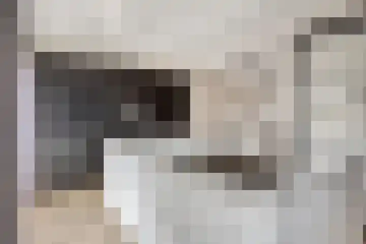 Ronde Akkers 24 Riel thumbnail 23
