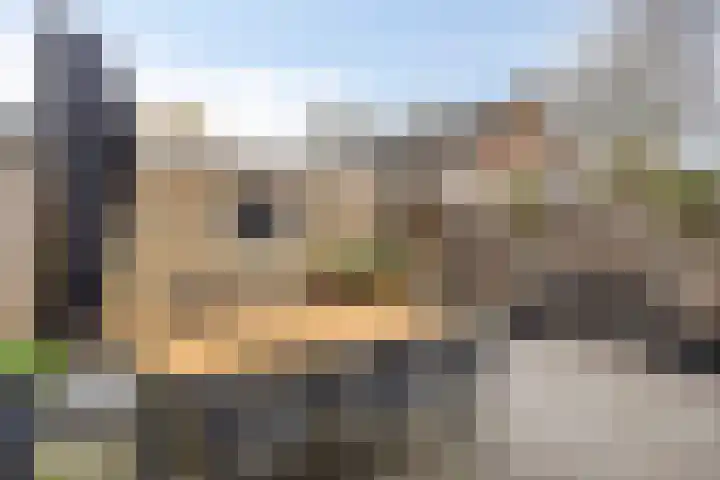 Ronde Akkers 24 Riel thumbnail 41
