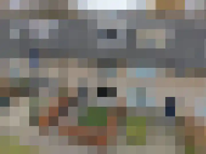 Ronde Akkers 24 Riel thumbnail 43