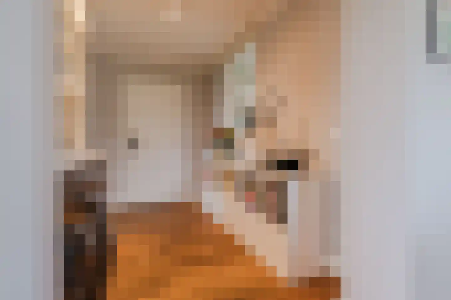 Ronde Bleek 6 Sterksel thumbnail 19