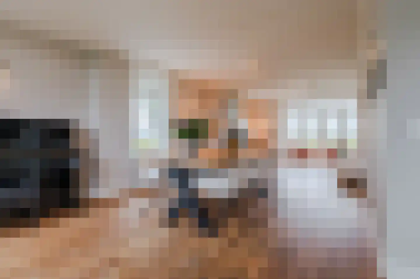 Ronde Bleek 6 Sterksel thumbnail 26