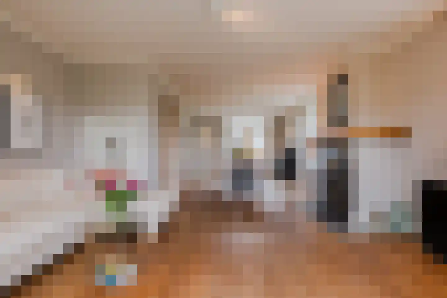 Ronde Bleek 6 Sterksel thumbnail 4