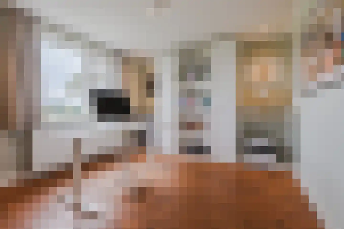 Ronde Bleek 6 Sterksel thumbnail 42