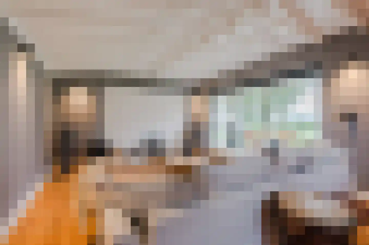 Ronde Bleek 6 Sterksel thumbnail 57