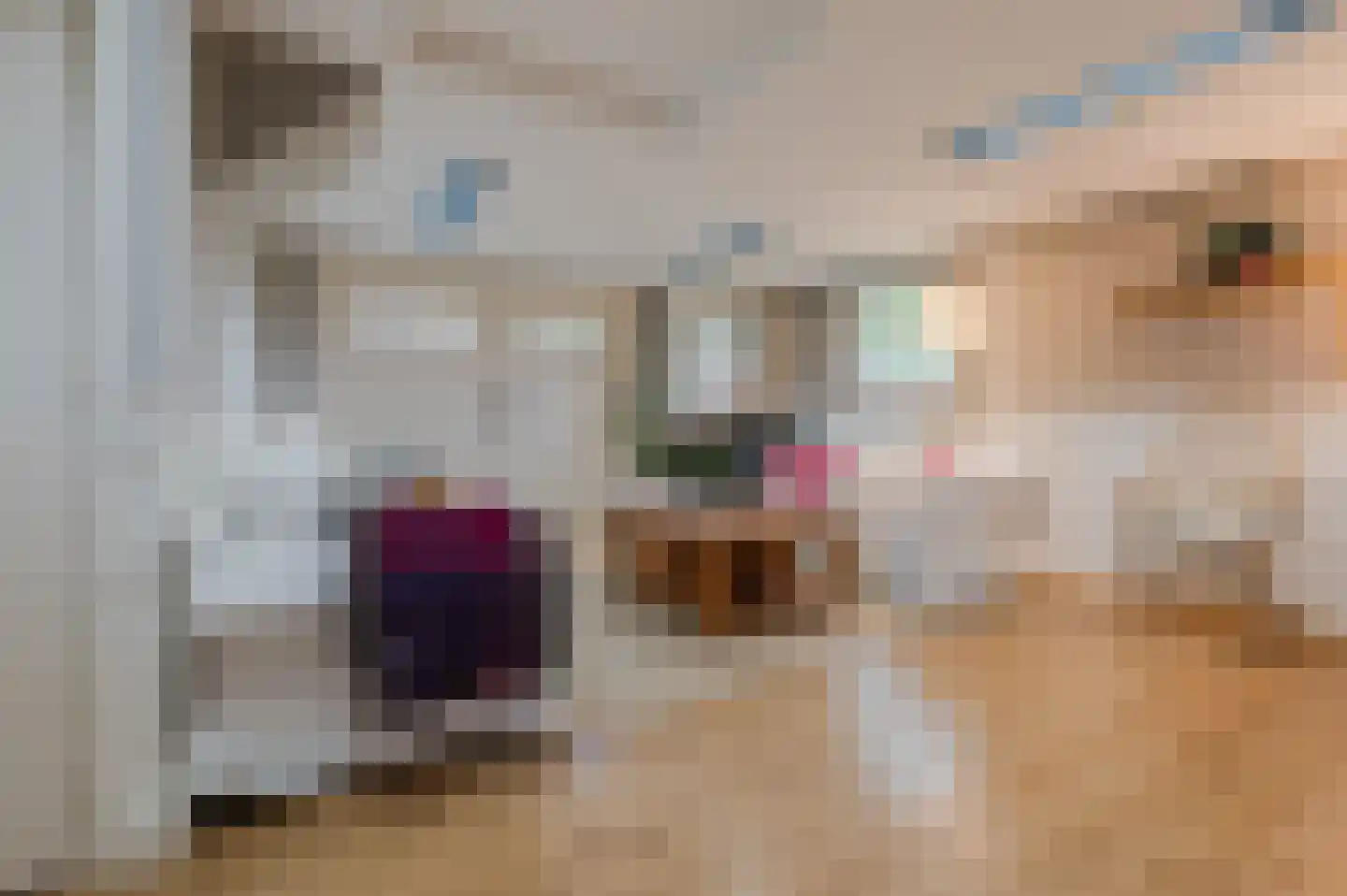 Ronde Bleek 6 Sterksel thumbnail 60