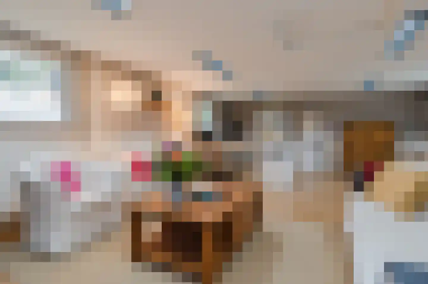 Ronde Bleek 6 Sterksel thumbnail 61