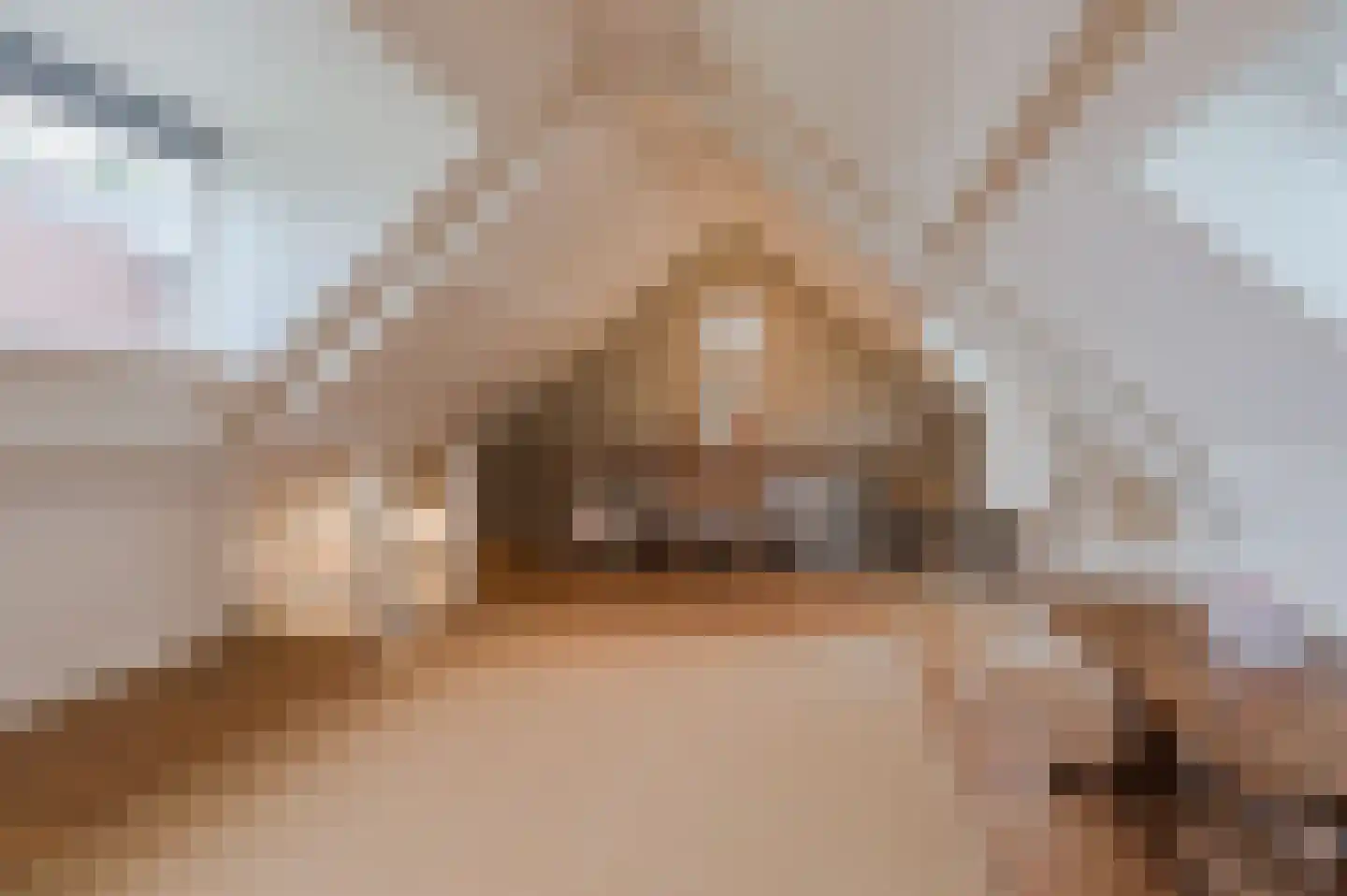 Ronde Bleek 6 Sterksel thumbnail 65