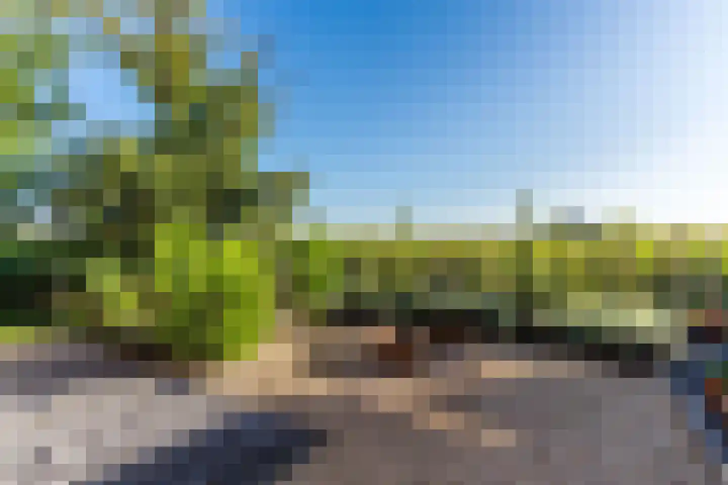 Ronde Bleek 6 Sterksel thumbnail 69