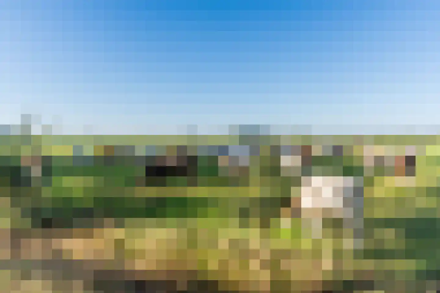 Ronde Bleek 6 Sterksel thumbnail 71