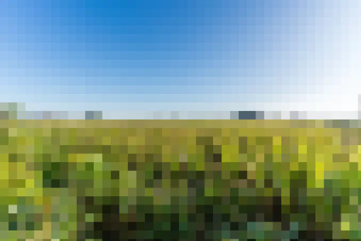 Ronde Bleek 6 Sterksel thumbnail 72