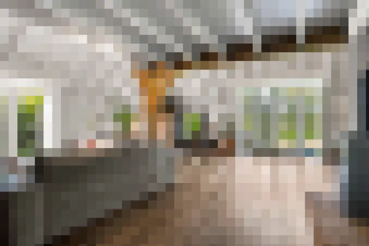 Ronde Blesse 3 Willemsoord thumbnail 10