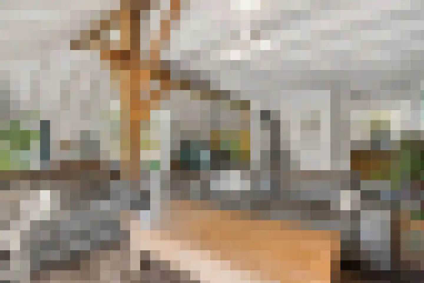 Ronde Blesse 3 Willemsoord thumbnail 11