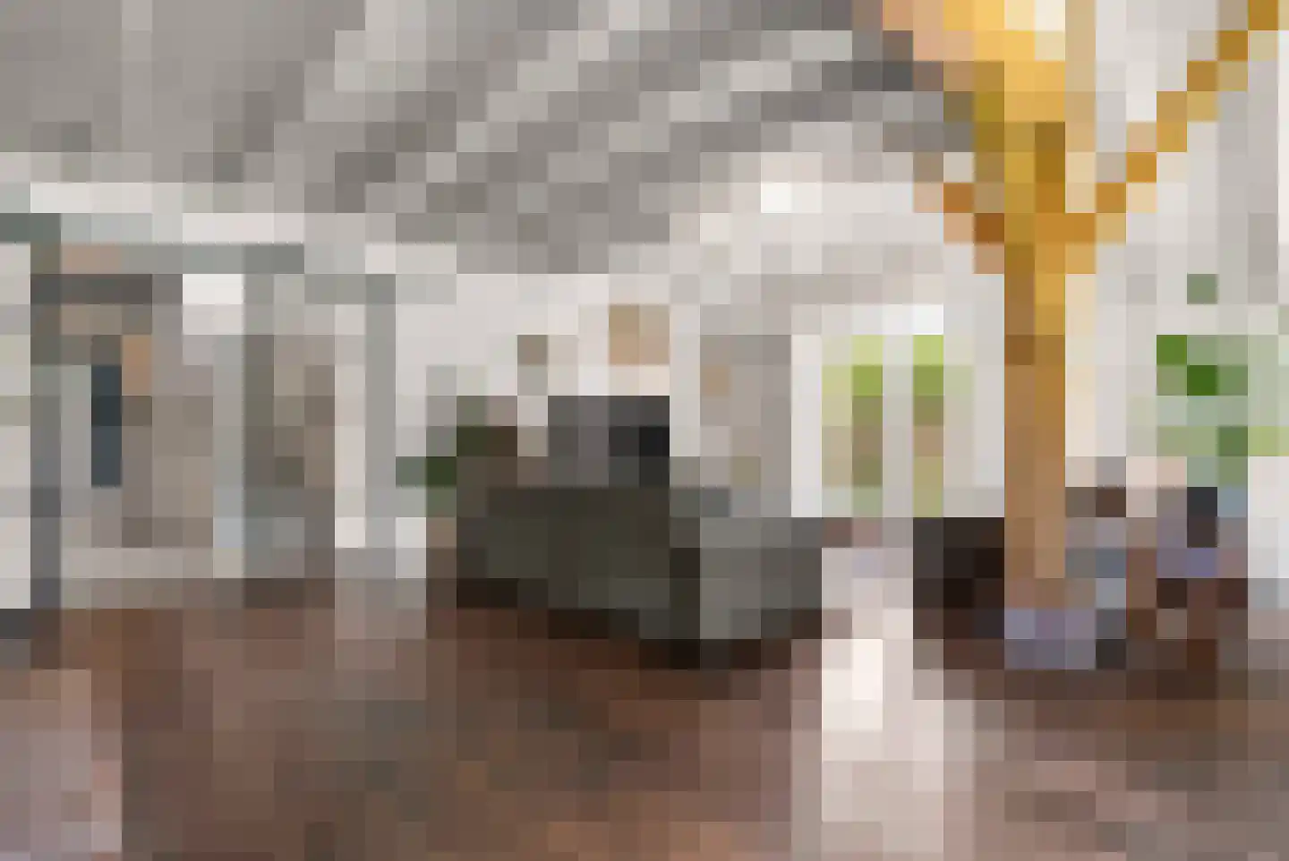 Ronde Blesse 3 Willemsoord thumbnail 12