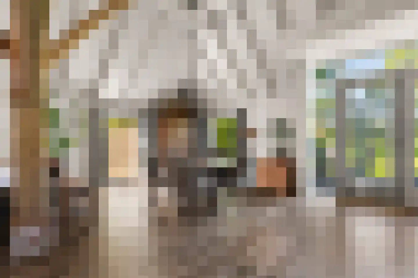 Ronde Blesse 3 Willemsoord thumbnail 15