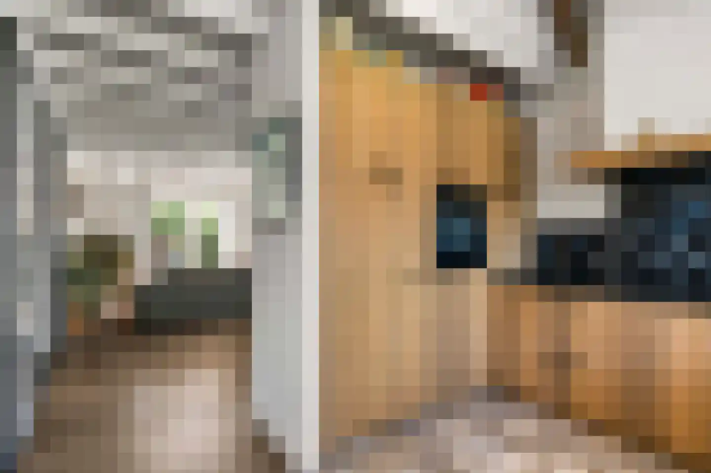 Ronde Blesse 3 Willemsoord thumbnail 22