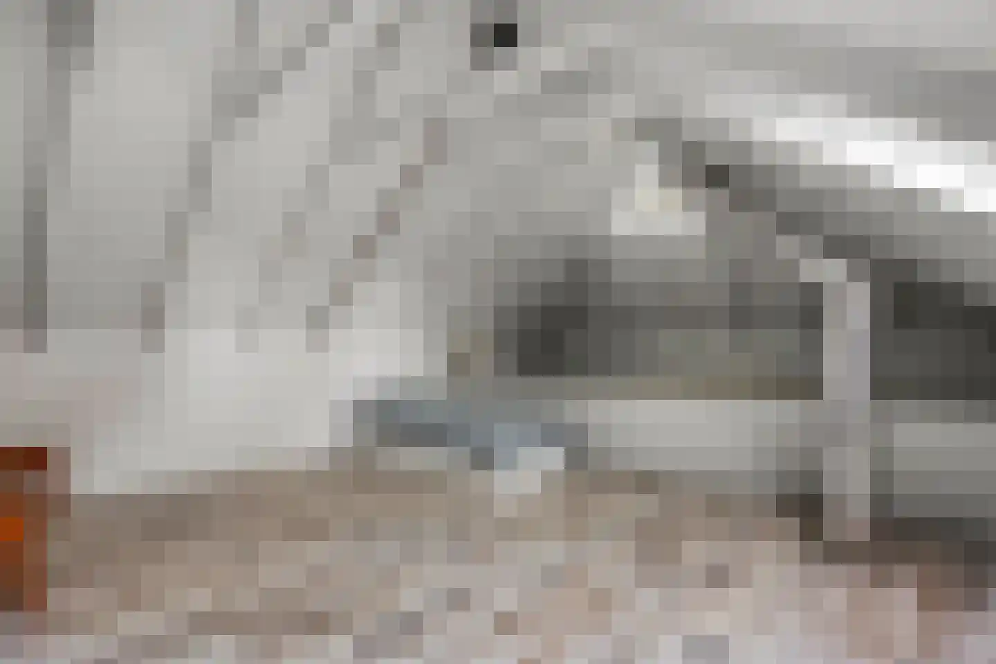 Ronde Blesse 3 Willemsoord thumbnail 36