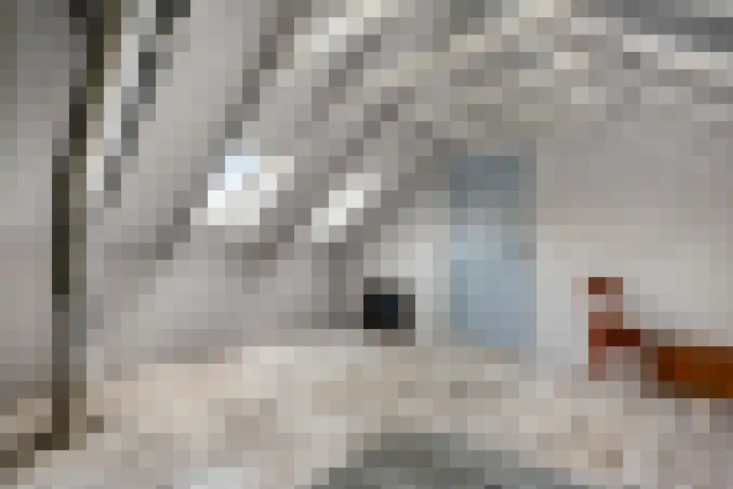 Ronde Blesse 3 Willemsoord thumbnail 37