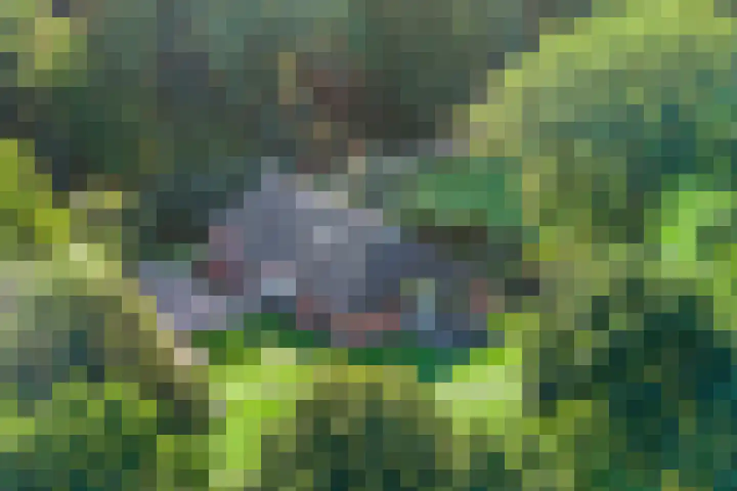 Ronde Blesse 3 Willemsoord thumbnail 4