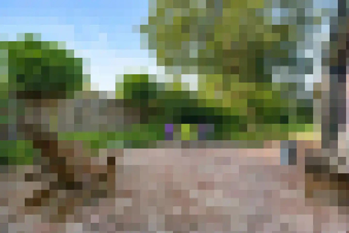 Ronde Blesse 3 Willemsoord thumbnail 41