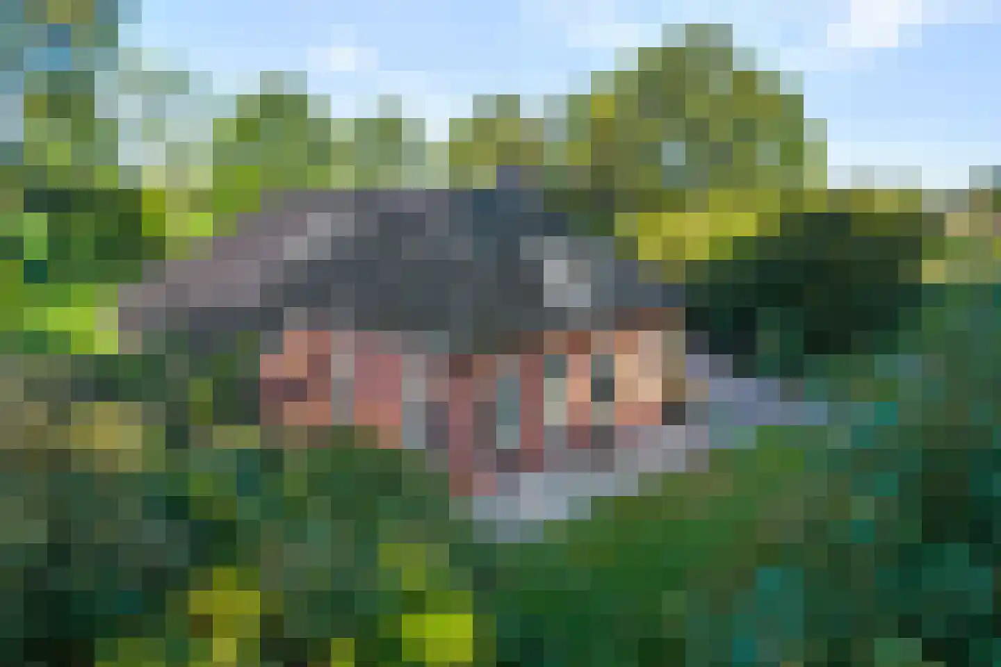 Ronde Blesse 3 Willemsoord thumbnail 5