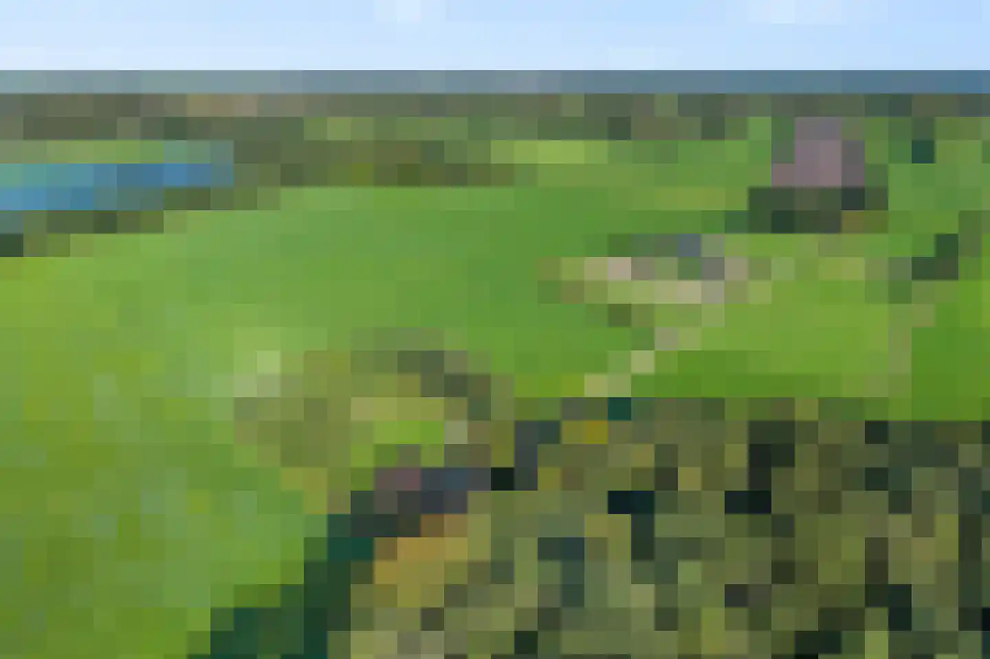 Ronde Blesse 3 Willemsoord thumbnail 50