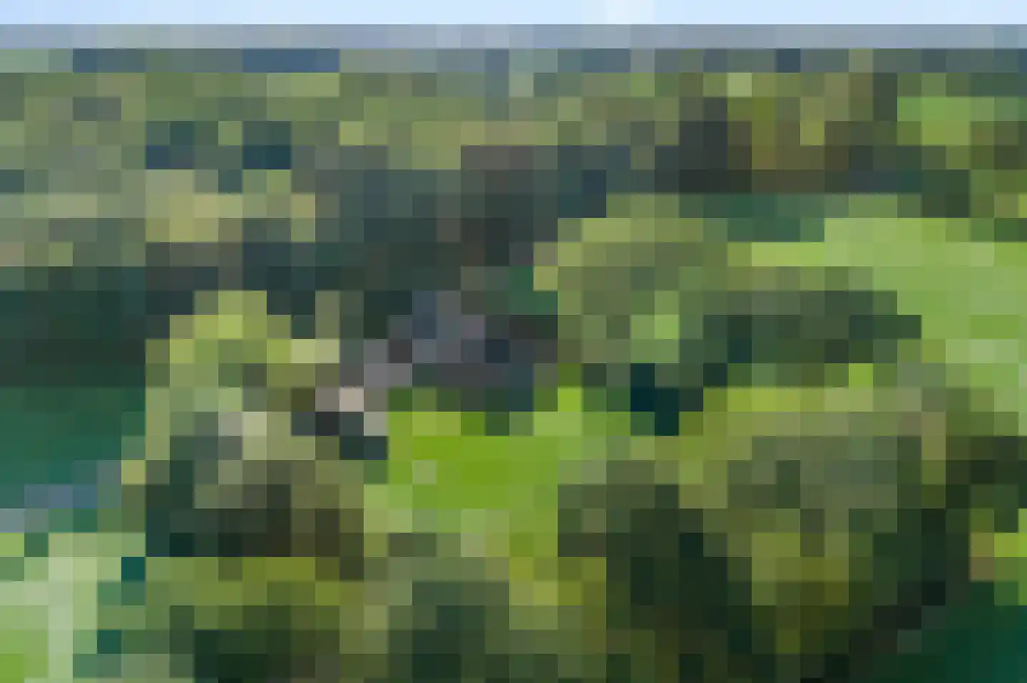 Ronde Blesse 3 Willemsoord thumbnail 51