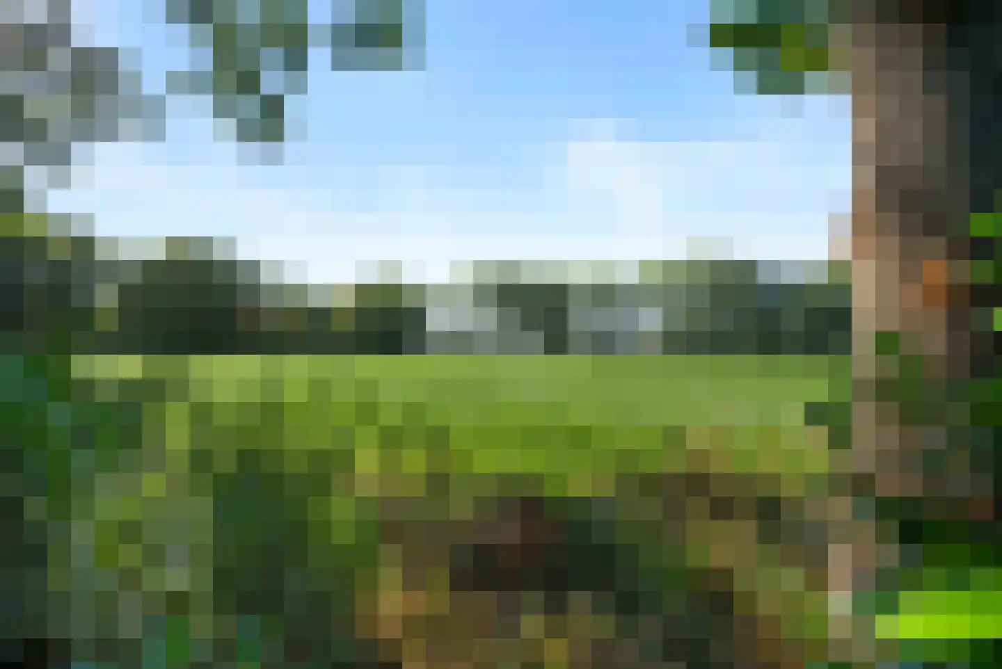 Ronde Blesse 3 Willemsoord thumbnail 55