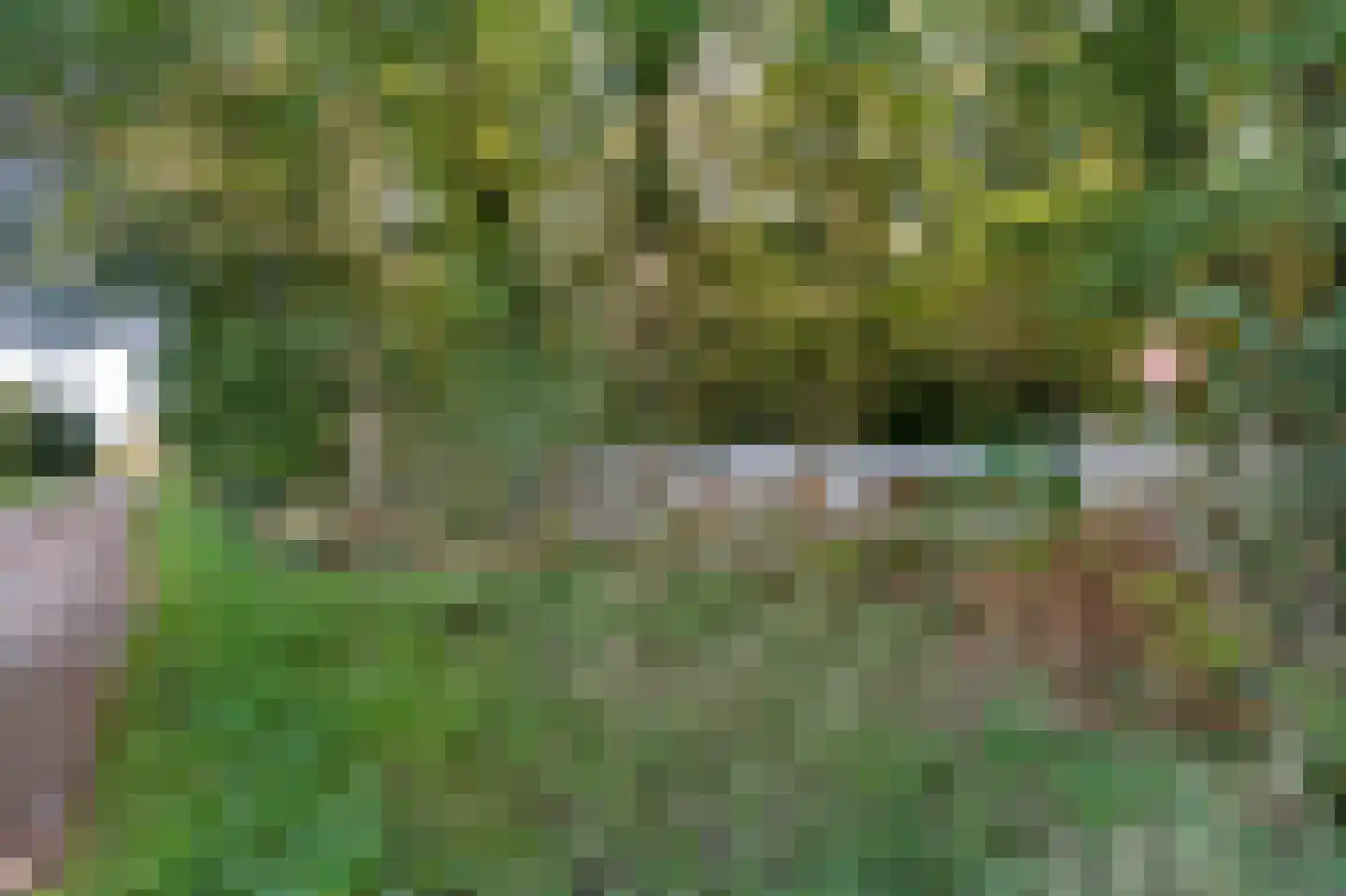 Ronde Blesse 3 Willemsoord thumbnail 56
