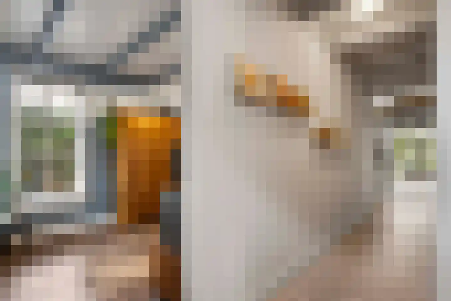 Ronde Blesse 3 Willemsoord thumbnail 7
