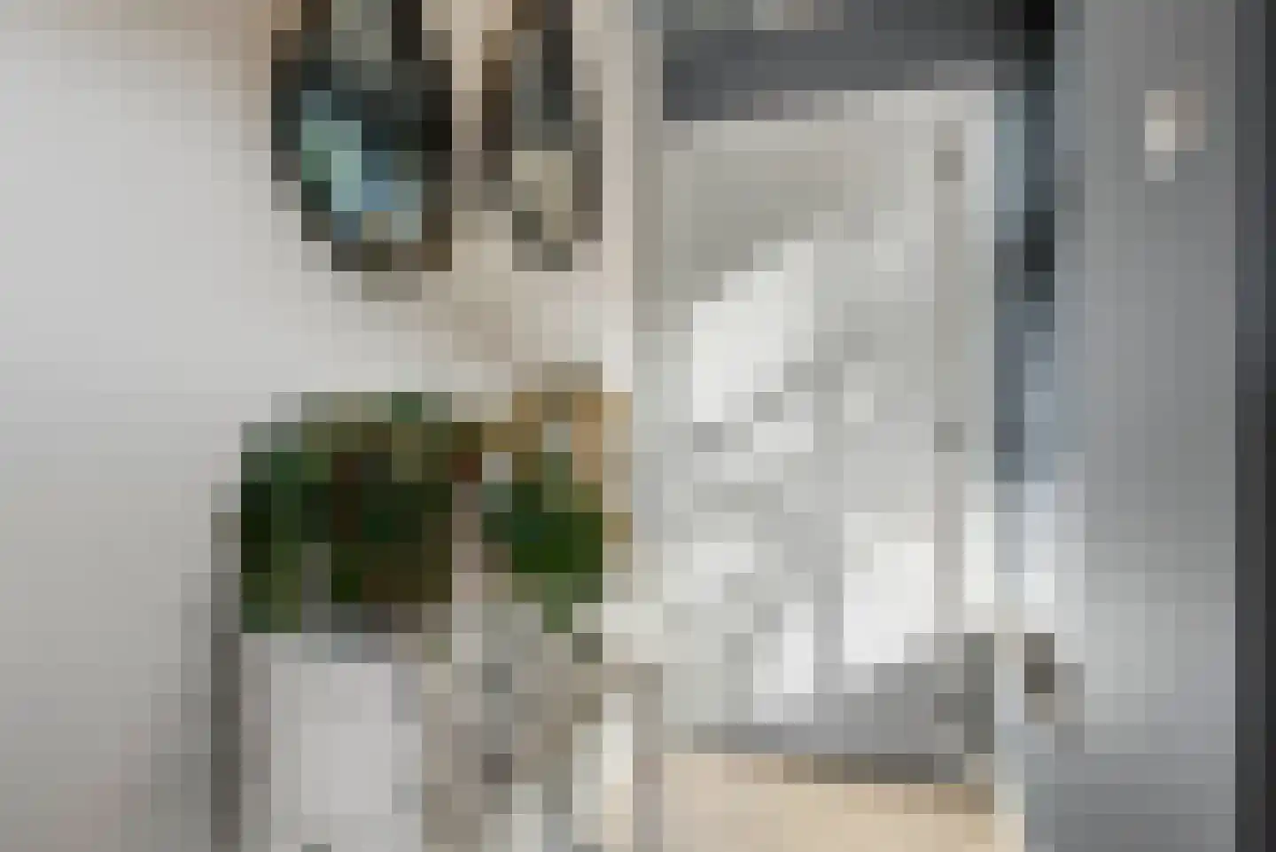 Ronde Blesse 3 Willemsoord thumbnail 8
