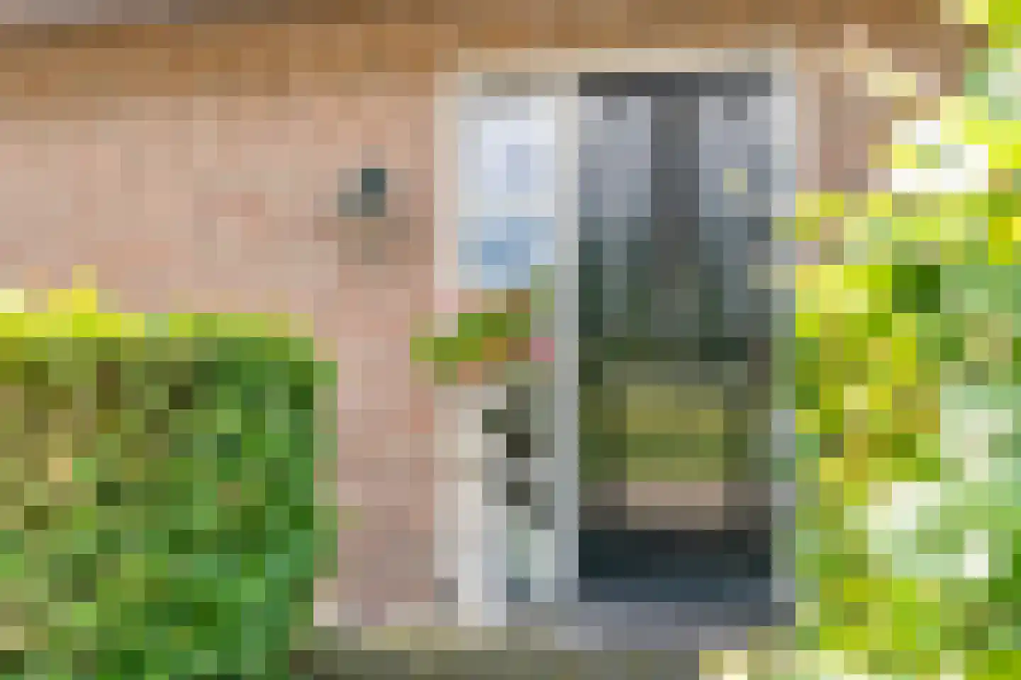 Ronde Blesse 4 Willemsoord thumbnail 12