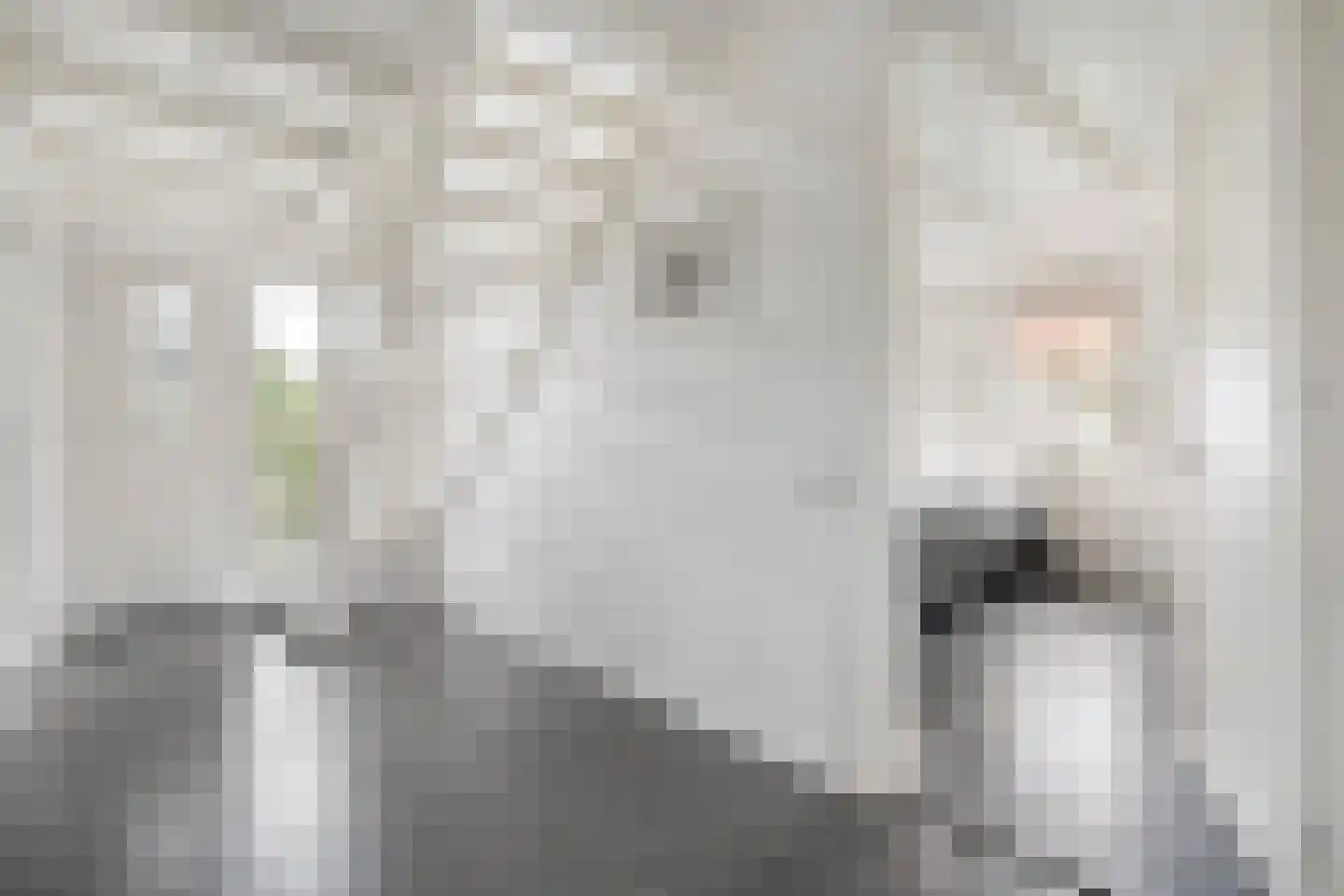 Ronde Blesse 4 Willemsoord thumbnail 13