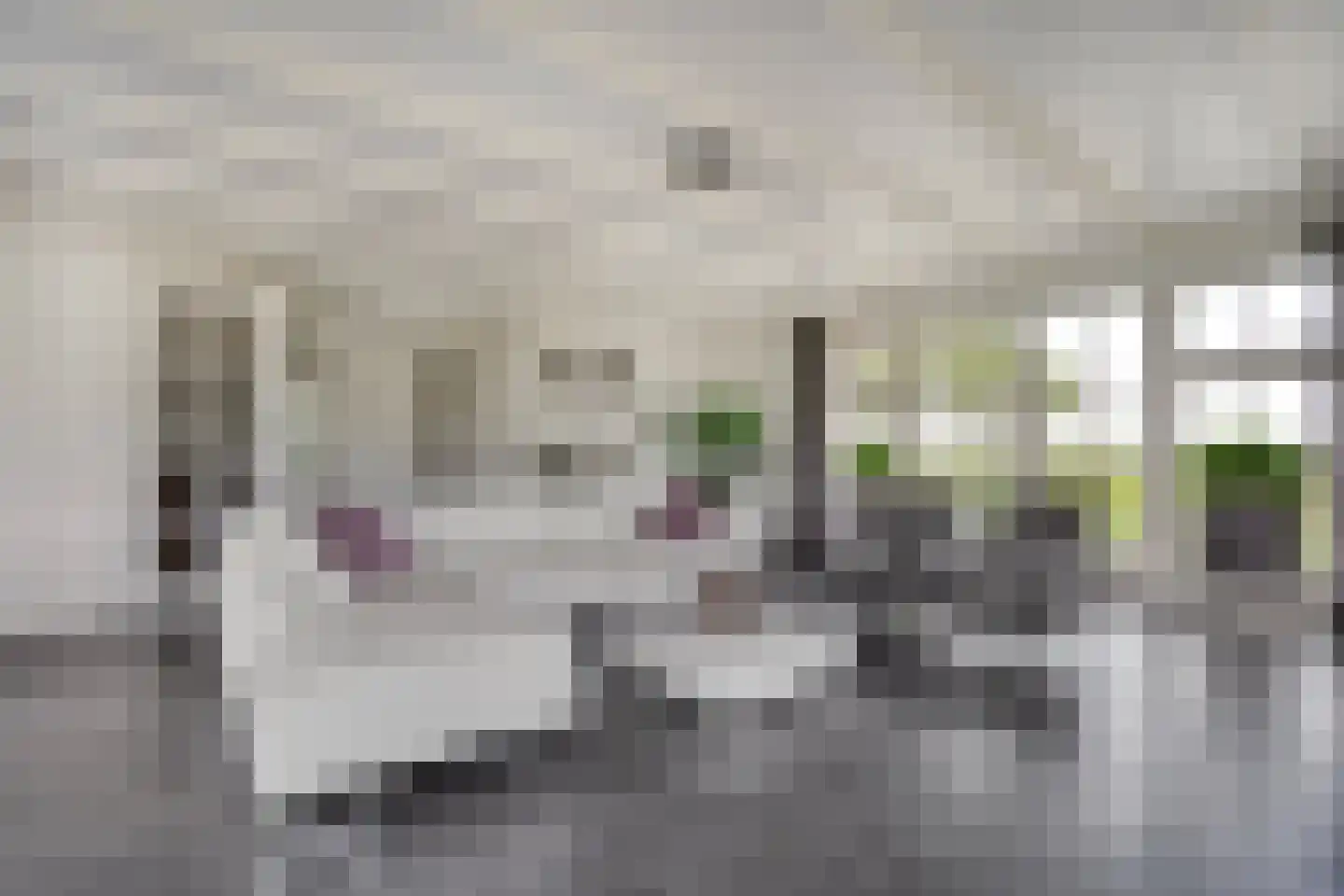 Ronde Blesse 4 Willemsoord thumbnail 17