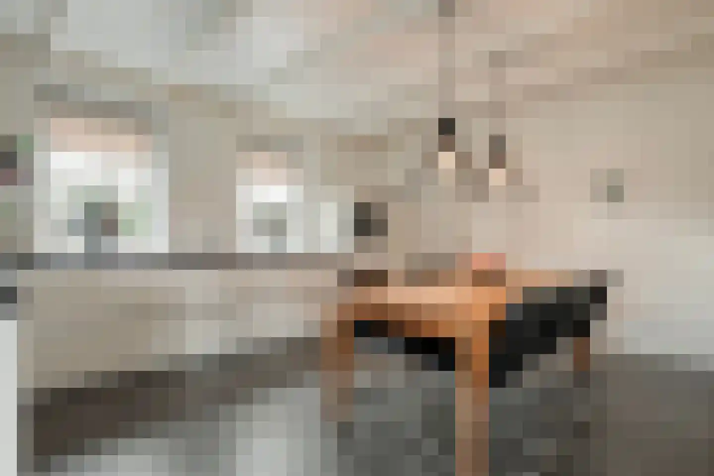 Ronde Blesse 4 Willemsoord thumbnail 20