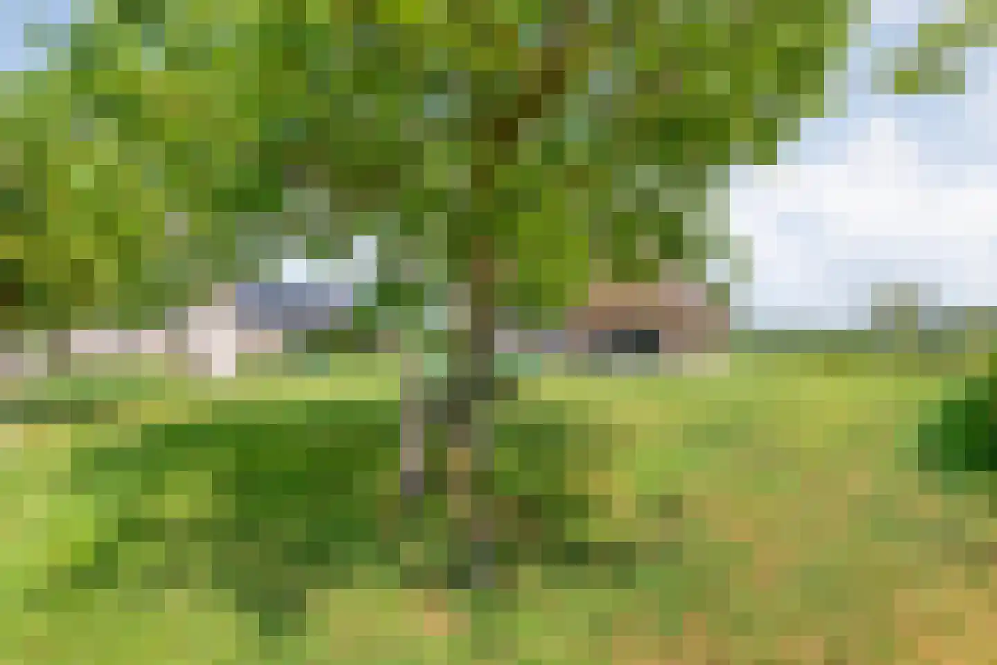 Ronde Blesse 4 Willemsoord thumbnail 54