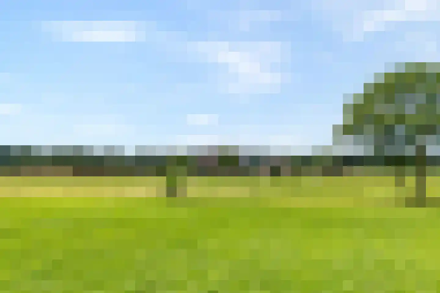 Ronde Blesse 4 Willemsoord thumbnail 6