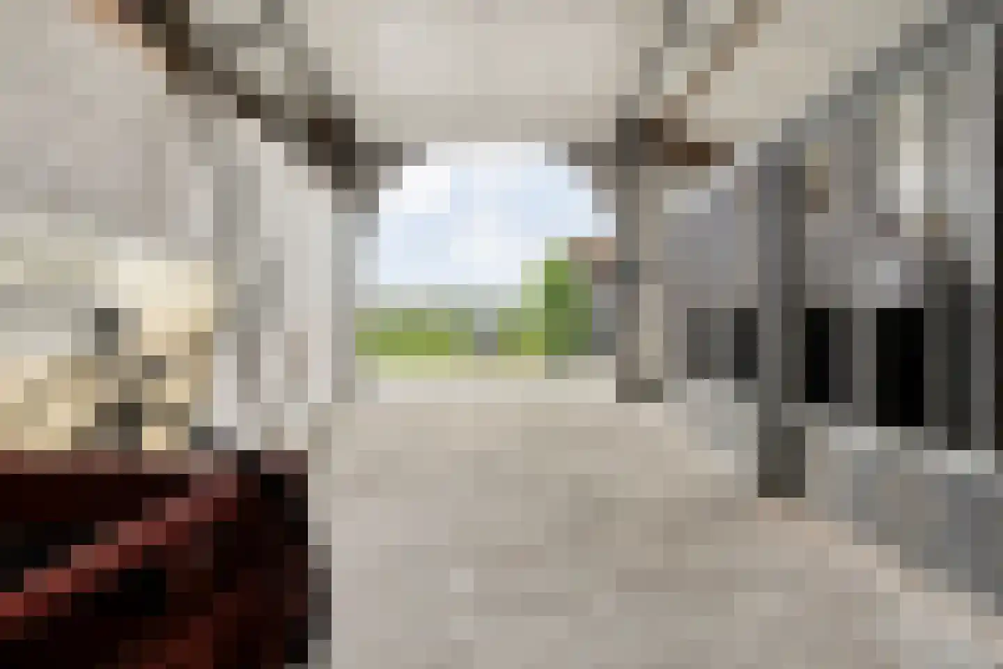 Ronde Blesse 4 Willemsoord thumbnail 64