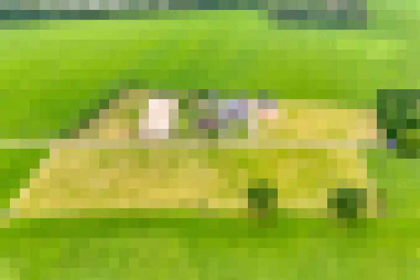 Ronde Blesse 4 Willemsoord thumbnail 7