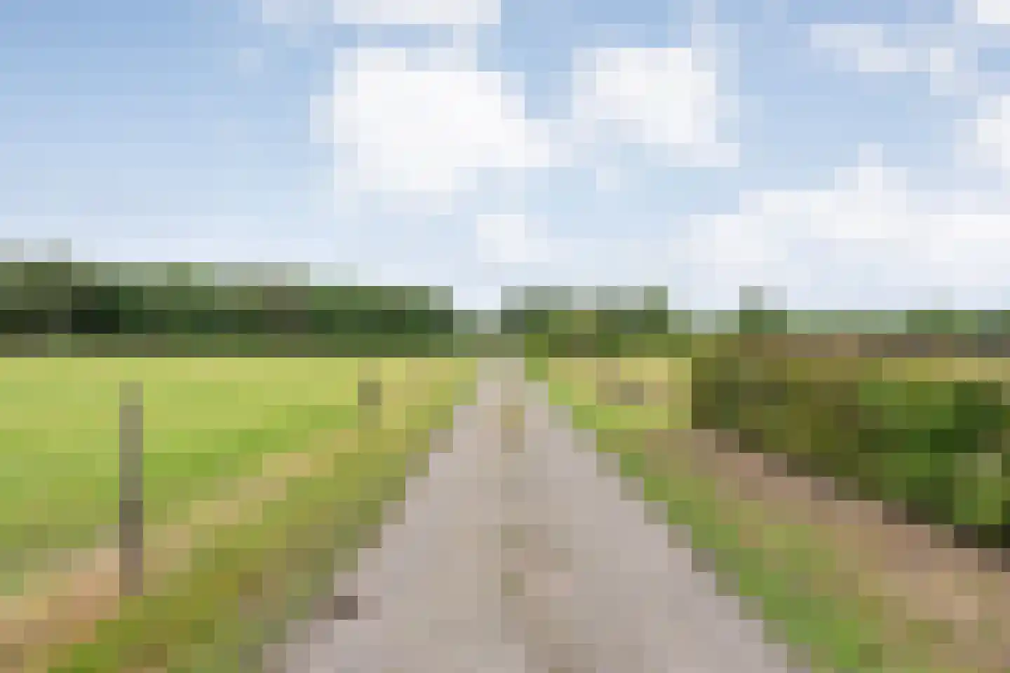 Ronde Blesse 4 Willemsoord thumbnail 73