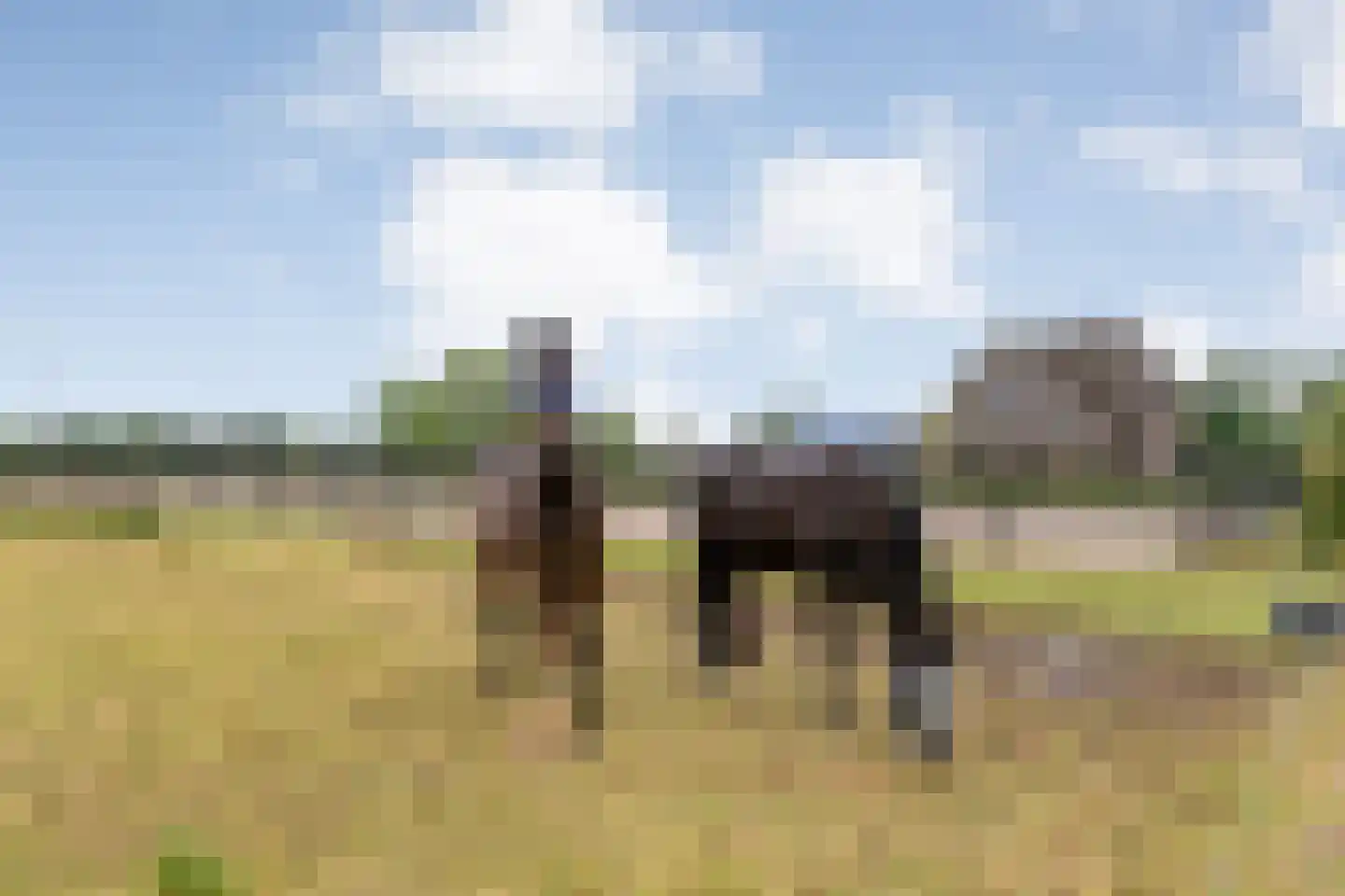 Ronde Blesse 4 Willemsoord thumbnail 75