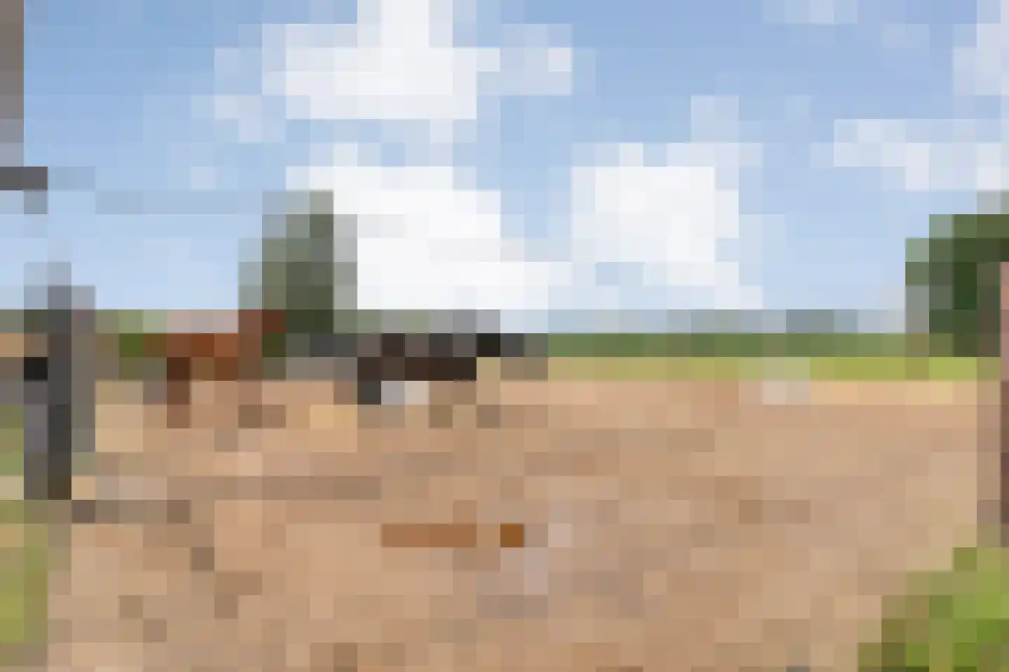 Ronde Blesse 4 Willemsoord thumbnail 76