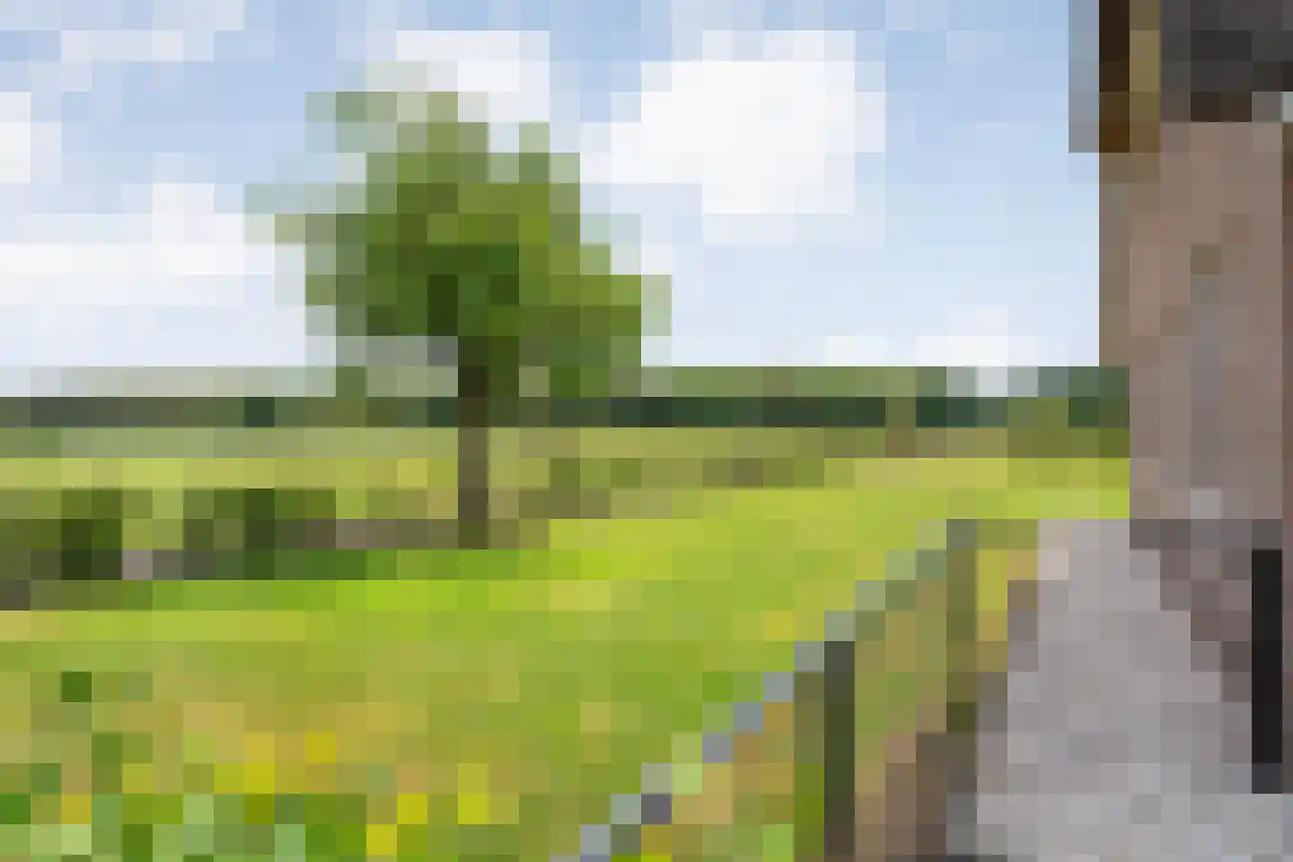 Ronde Blesse 4 Willemsoord thumbnail 77