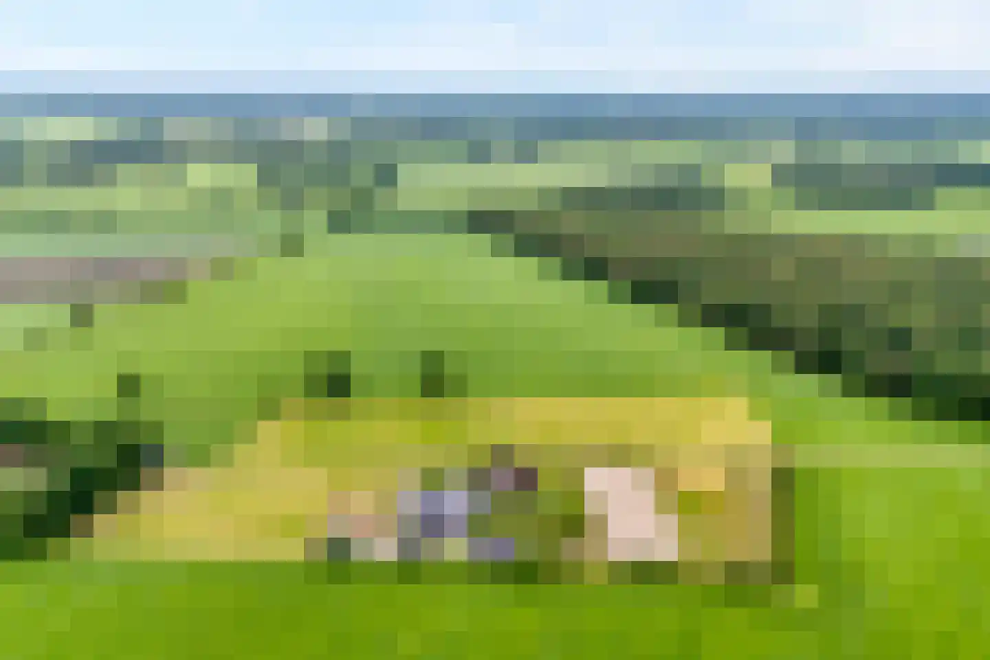 Ronde Blesse 4 Willemsoord thumbnail 78